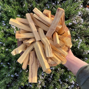 Bulk Organic Peruvian Palo Santo Smudge Sticks image 3