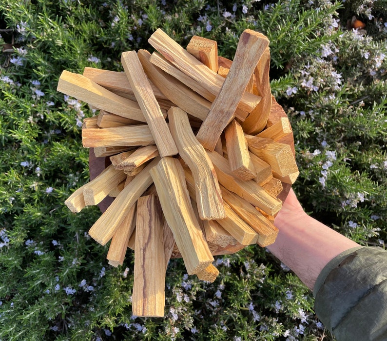 Bulk Organic Peruvian Palo Santo Smudge Sticks image 3