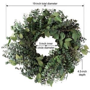 Eucalyptus Silver Dollar Wreath  with dimensions