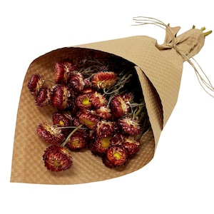 Dried Red Strawflowers Floral Stems Bouquet Bundle