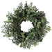 Preserved Baby & Silver Dollar Eucalyptus Wreath 