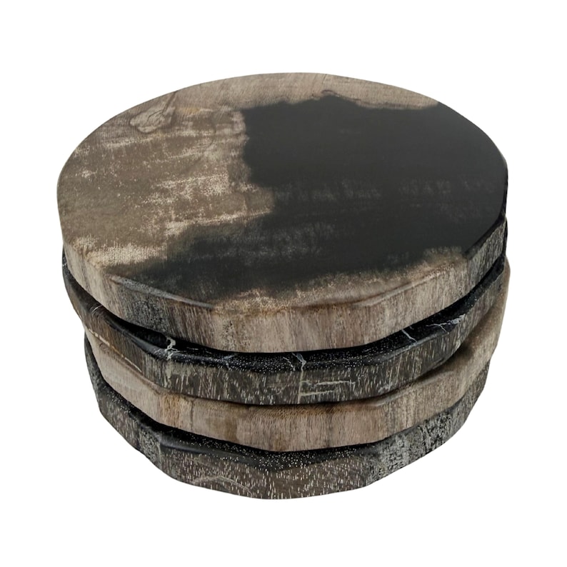 De La Terre Petrified Wood Coasters