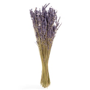 French Dried Lavender Bundle image 2