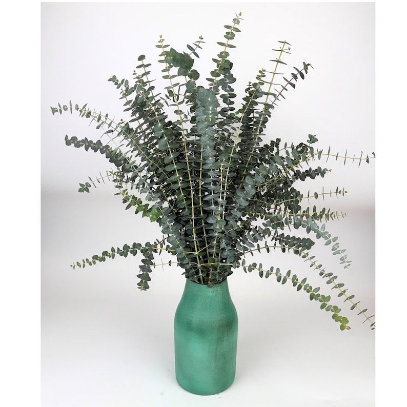 K&ouml;nnte beinhalten: Ein Strau&szlig; frischer Eukalyptus in einer teal-farbenen Vase. Der Eukalyptus hat lange Stiele mit kleinen, runden, blau-gr&uuml;nen Bl&auml;ttern. Die Vase hat eine matte Oberfl&auml;che und eine flaschen&auml;hnliche Form, wodurch ein einfaches, aber elegantes Blumenarrangement entsteht.