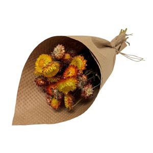 Dried Orange Strawflowers Floral Stems Bouquet Bundle