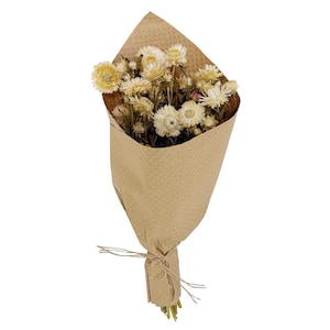 Dried Ivory White Strawflowers Floral Stems Bouquet Bundle 15in