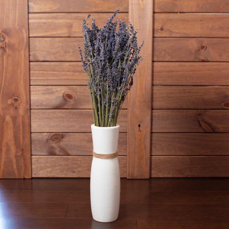 French Dried Lavender Bundle image 1