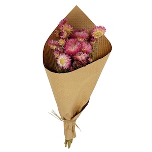 Dried Pink Strawflowers Floral Stems Bouquet Bundle