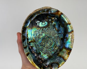 Abalone Shell for Smudging Incense and Decor