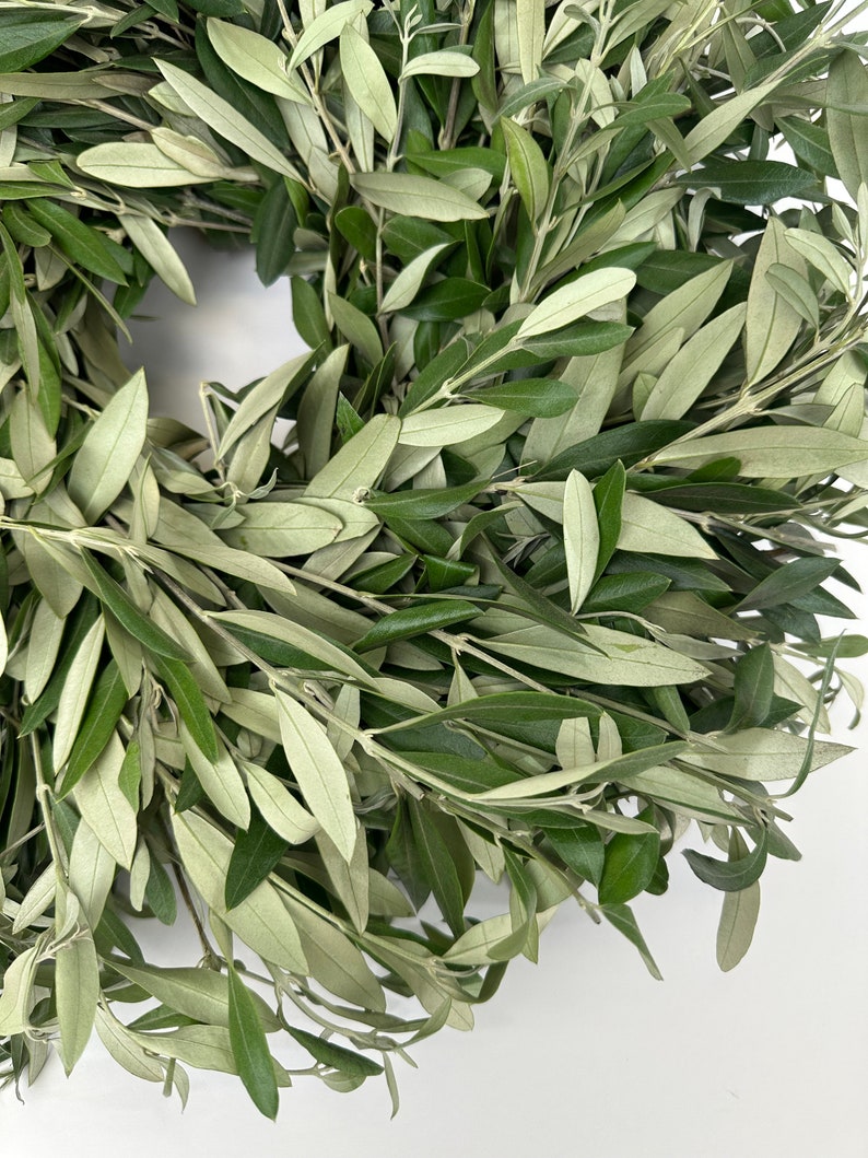 Puede incluir: Una corona de ramas de olivo verdes con ramas exuberantes y frondosas. La corona est&aacute; hecha de ramas de olivo naturales y es perfecta para agregar un toque de naturaleza a la decoraci&oacute;n de tu hogar.