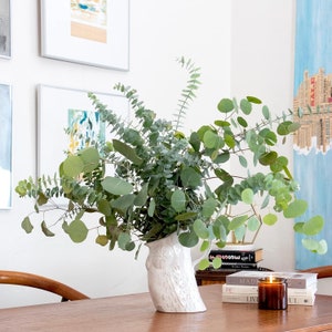 May include: A white ceramic pitcher with an owl design, filled with a bouquet of eucalyptus branches. The pitcher is sitting on a wooden table with a stack of books and a candle.