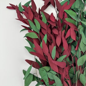 Preserved Multi Willow Eucalyptus Bundle