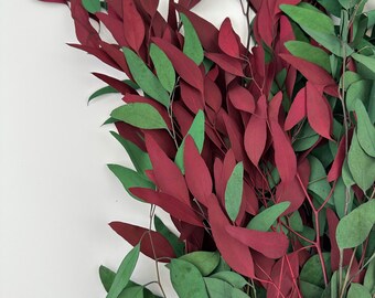 Preserved Multi Willow Eucalyptus Bundle