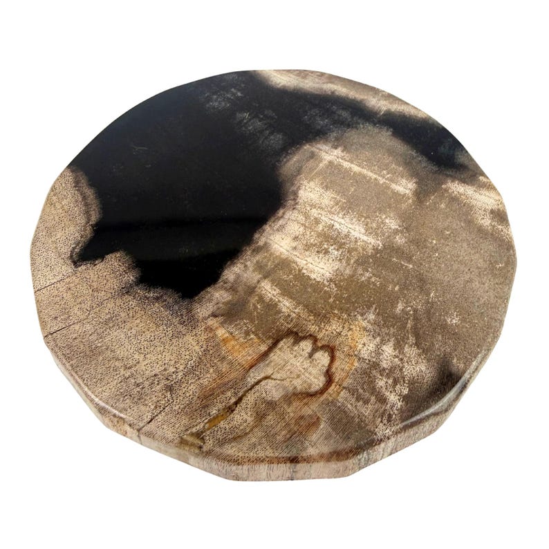 De La Terre Petrified Wood Coasters