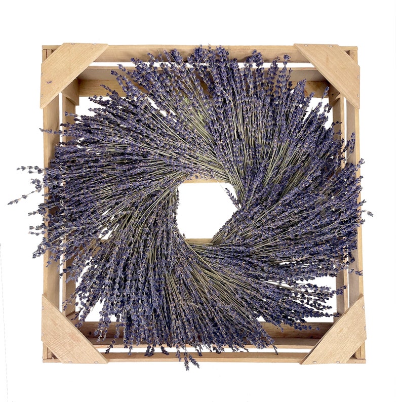 Provence Lavender Dried Wreath image 1