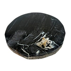 De La Terre Petrified Wood Coasters