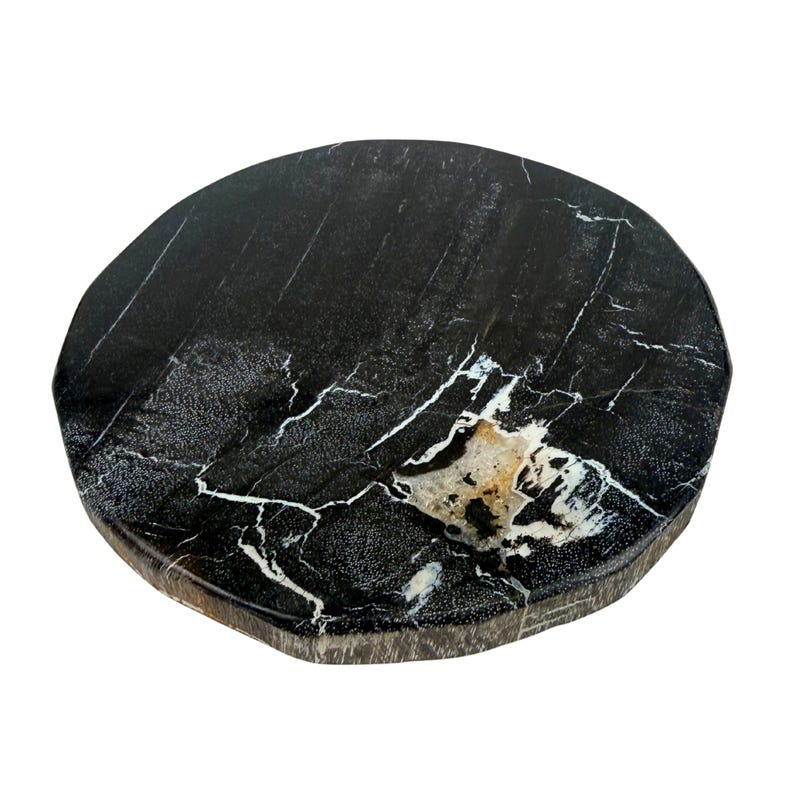 De La Terre Petrified Wood Coasters