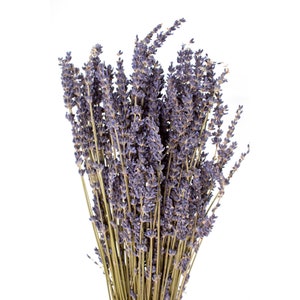 French Dried Lavender Bundle image 3
