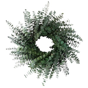 Preserved Baby Eucalyptus Wreath image 1