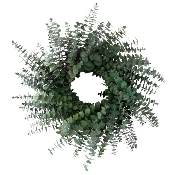 Preserved Baby Eucalyptus Wreath