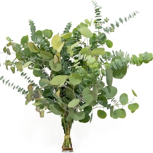 May include: A bunch of eucalyptus stems with green leaves, tied together with a brown string.