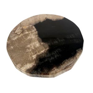 De La Terre Petrified Wood Coasters