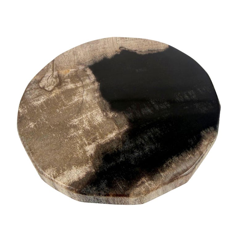 De La Terre Petrified Wood Coasters