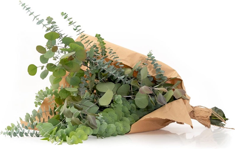 May include: A bouquet of green eucalyptus leaves wrapped in brown paper.