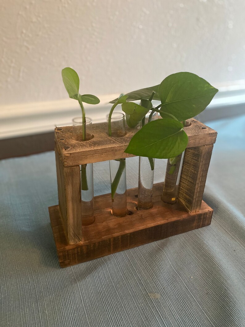 Propagation Station Wooden Plant Propagation Station Etsy