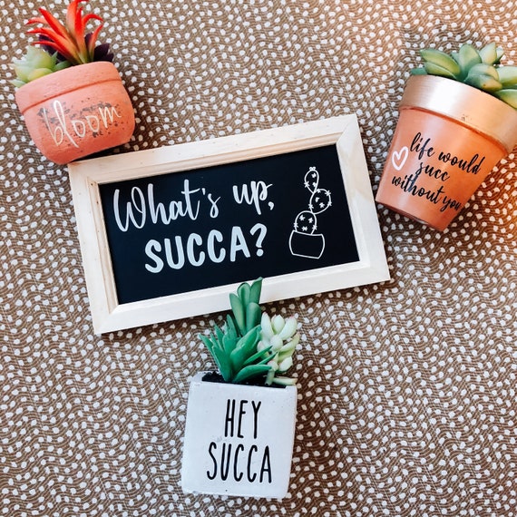 Whats up Succa Wooden Succulent/ Chalkboard Sign/ Wall Etsy