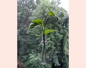Small Propagation Station Magnetic Test Tube Suction Cup Glass Window Decor Vase Plant Cutting Hanger Gift for Plant Lovers Propagation Wall