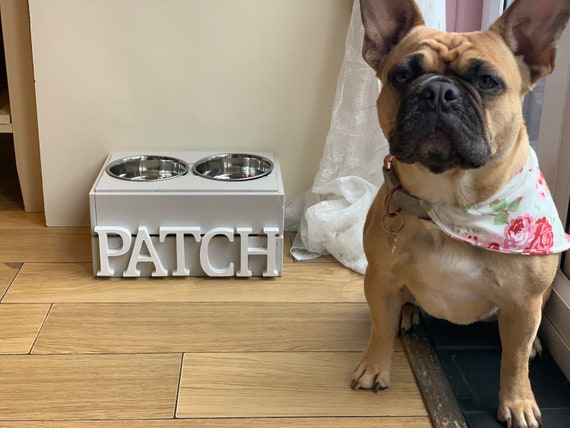 small dog feeding station