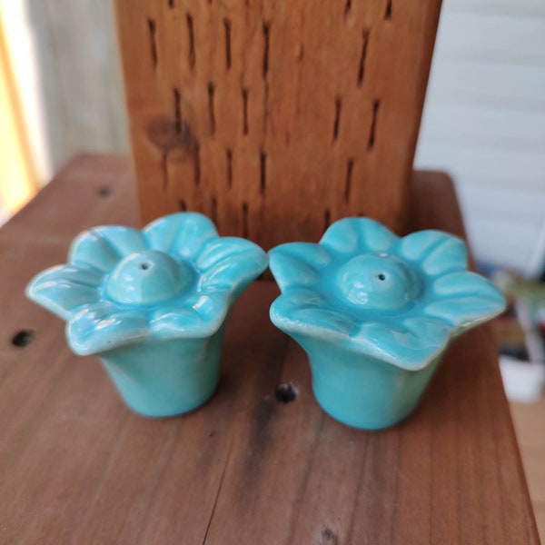 Vintage spring flower salt and pepper shakers