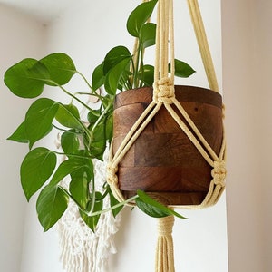 May include: A yellow macrame plant hanger with a wooden planter and a green plant hanging from it.