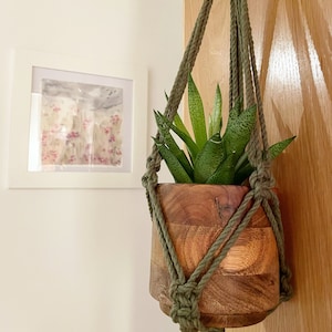 May include: A green plant in a wooden pot hanging from a macrame plant hanger.