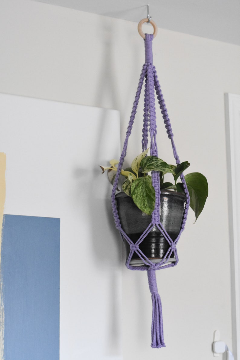 CUSTOM Plant Hanger CUSTOM Plant Hanger