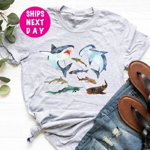 Watercolor Shark Shirt, Types Of Sharks Shirt, Illustrated Sweatshirt, Youth Shark Gift Idea, Shark Species Shark, Great White Shirt