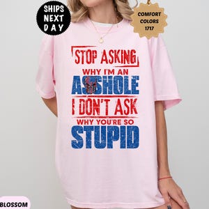 Camiseta divertida y grosera de Comfort Colors "Deja de preguntar", camiseta con mensaje sarcástico, camiseta con humor y actitud atrevida.