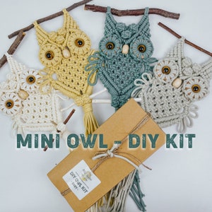  GATOKIT Pre-Cut Macrame Kit for Adults Beginners, DIY Macrame Owl  Keychain Kits with Unique Craft Design (2 PCS Owl Keychain (White+Beige)) :  Arts, Crafts & Sewing