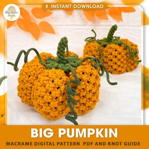 Può includere: Due zucche macramè fatte a mano nei toni dell'arancione, con steli e viticci verdi. Le zucche sono esposte su una superficie bianca, con foglie arancioni sullo sfondo. Il testo "BIG PUMPKIN" è visibile.