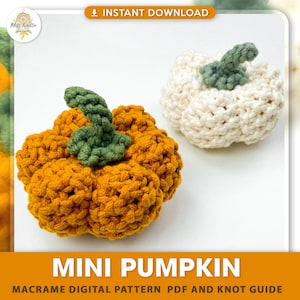May include: Two crocheted mini pumpkins. One is orange with a green stem, the other is white with a green stem. The image includes the text "MINI PUMPKIN" and "INSTANT DOWNLOAD". The pumpkins are likely handmade and suitable for fall decor.