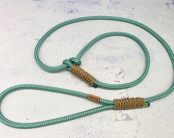 May include: A teal blue rope dog leash with a brown leather tag that says "seilartig".