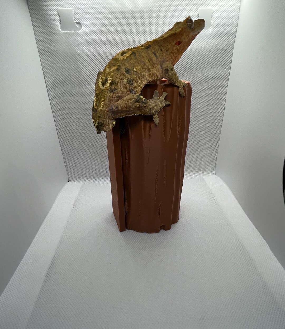 Magnetic Log Hide for Arboreal Gecko or Snake - Etsy