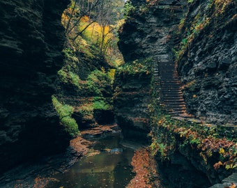 Watkins Glen State Park in New York Metal Canvas Photo Print