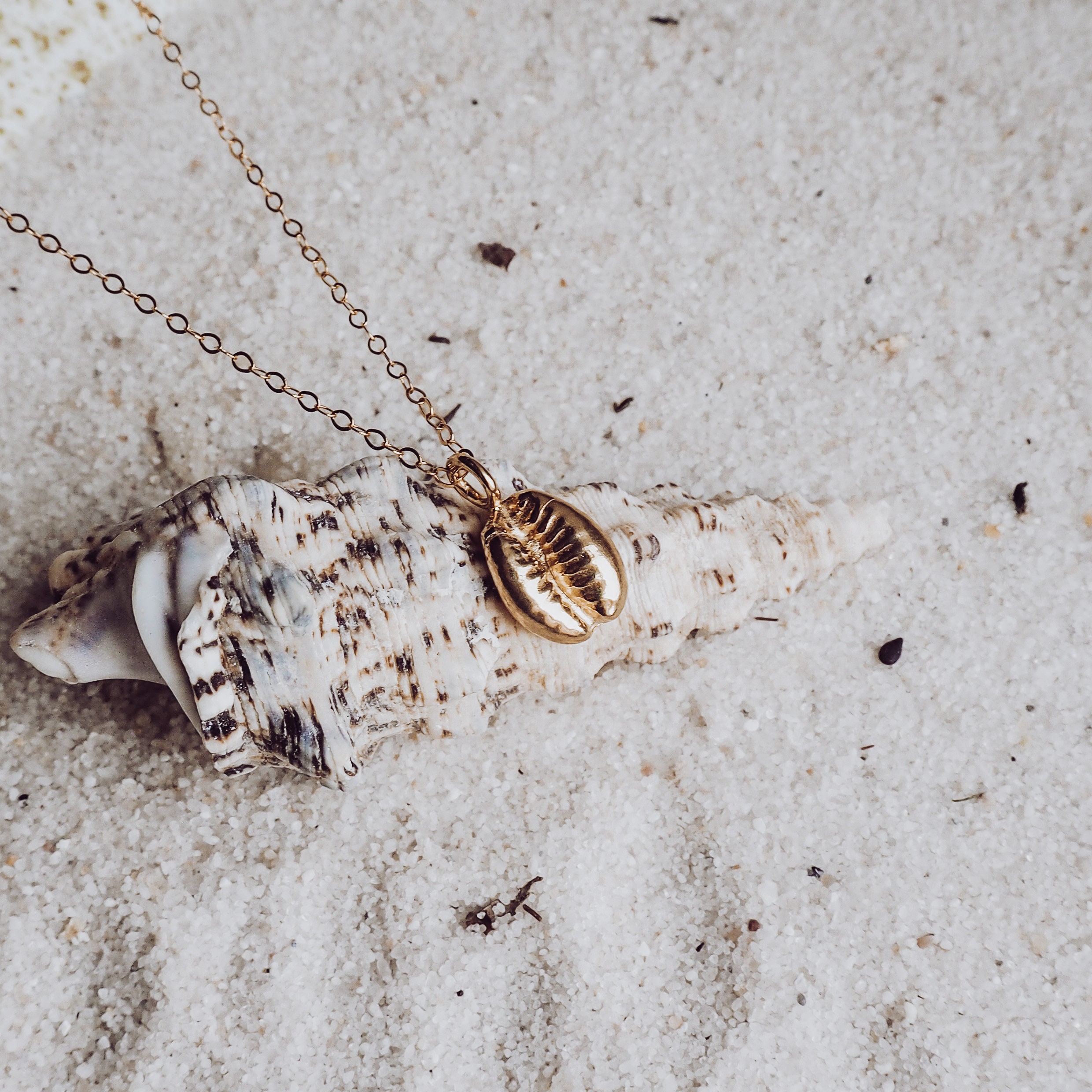 Moana Shell Necklace Etsy