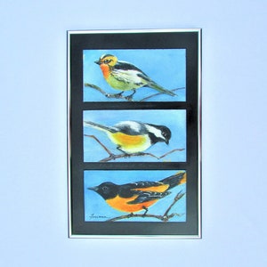 Gift for Men, Bird Painting, Wildlife Painting, Bird Painting Triptych, Yellow and Black Bird Art