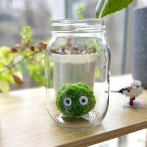 Mö the Marimo Moss Ball Plush Crochet – Kawaii Handmade Gift | Japanese Desk Decor | Soft Amigurumi Plant Pet (3 Sizes, 2 Colors)