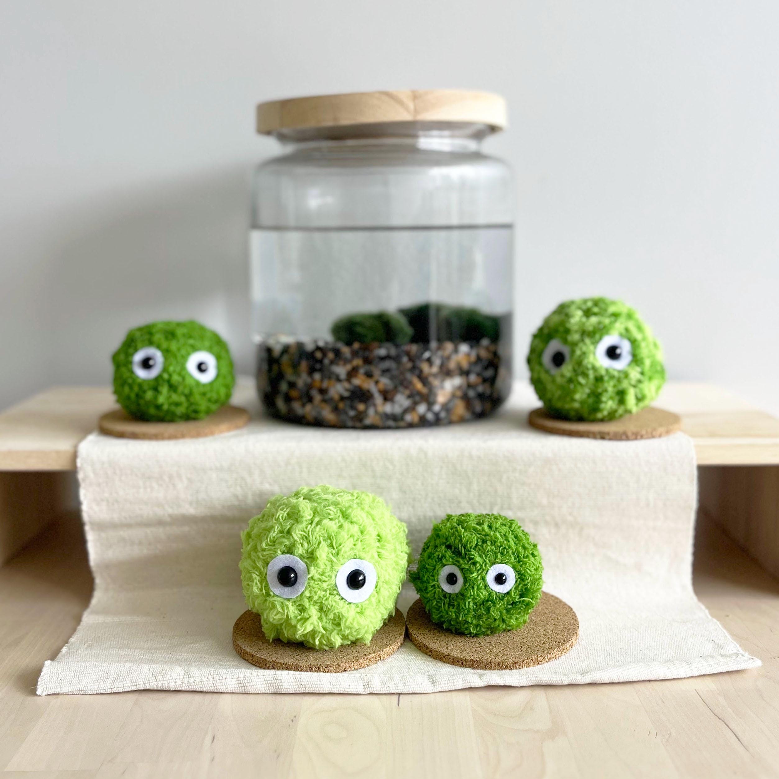 Mö the Marimo Moss Ball Plush Crochet – Kawaii Handmade Gift