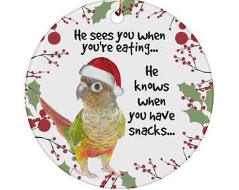 Pineapple Green Cheek Conure Ornament, Funny Santa Parrot Christmas Ceramic Decoration