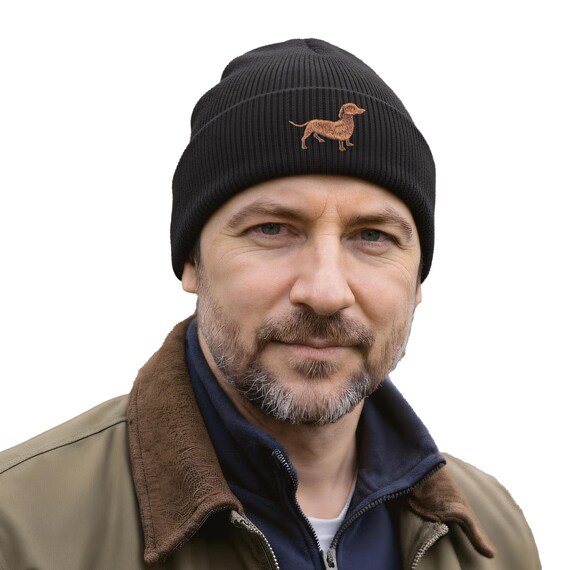 Dachshund Sausage Dog In Hat As A Holiday Season Stock Image - Image Of - View #2